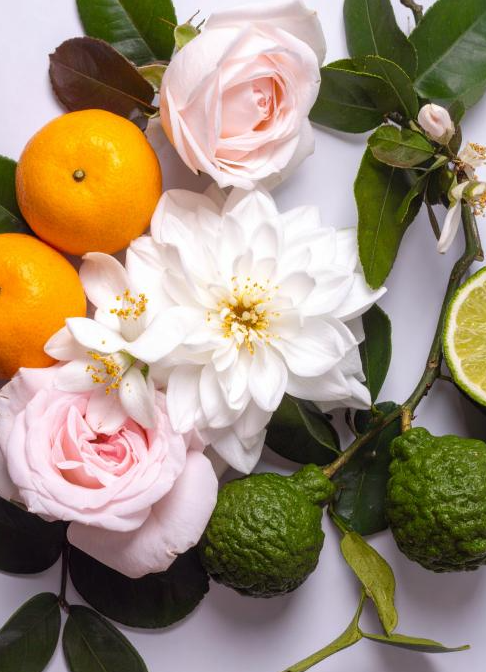 CAROLINA - Duftkerzen By Velcheva 160 ml