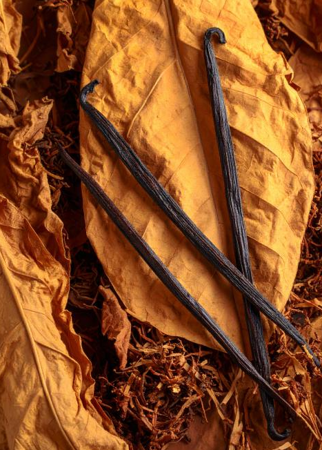 TOBACCO VANILLA - Duftkerzen 160 ml By Velcheva