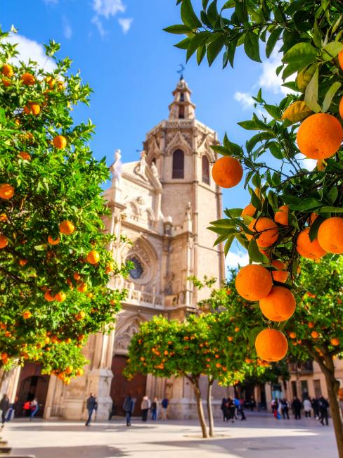 VALENCIA Raumduftspray von BY VELCHEVA